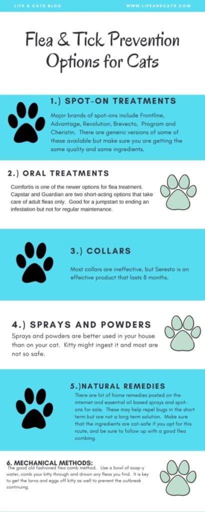 They Are Coming! Fleas and Ticks 101 - Life & Cats