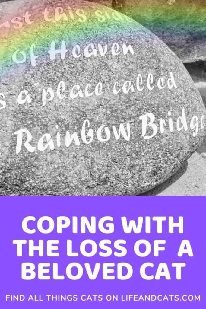 Rainbow bridge poem helps us cope with pet loss. 