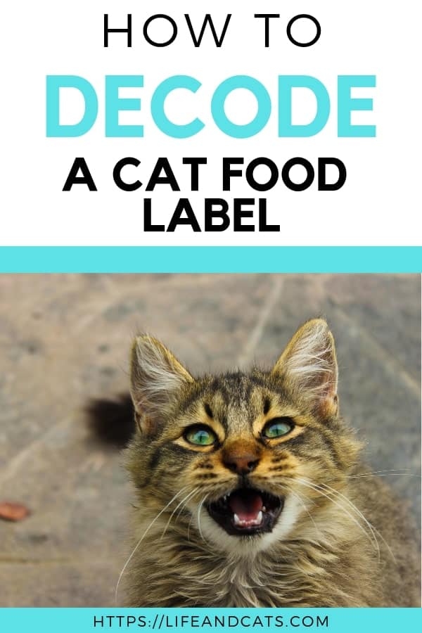 How to Decode Cat Food Labels - Life & Cats