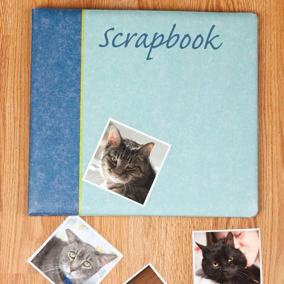 Scrapbook with cat pictures