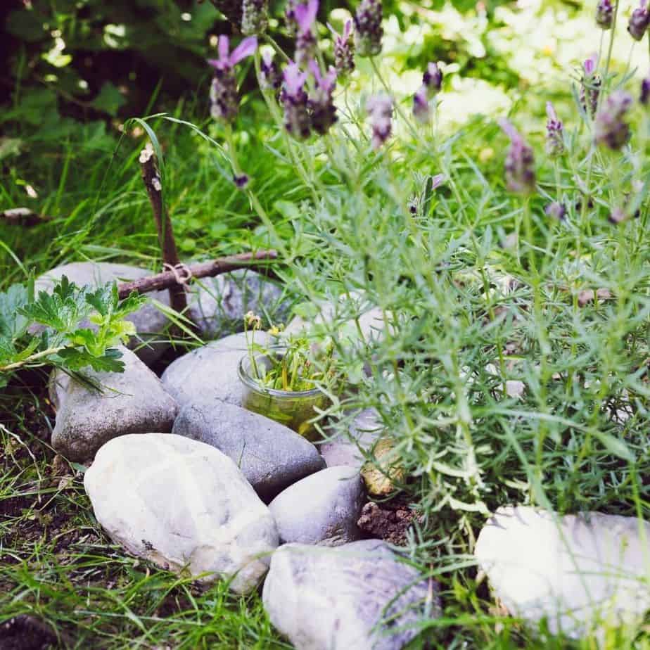 Memorial garden for a lost cat