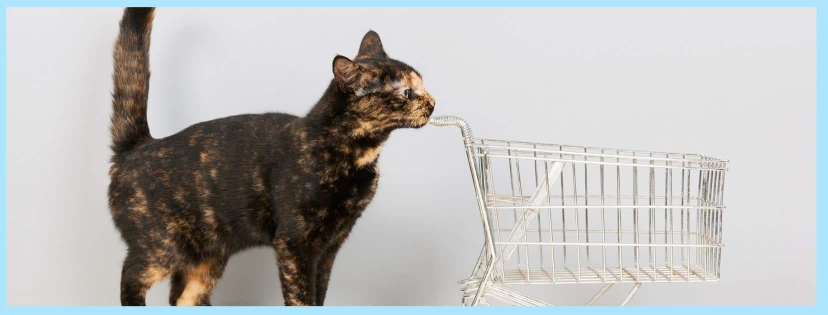 Deals For Cats: Shopping Events