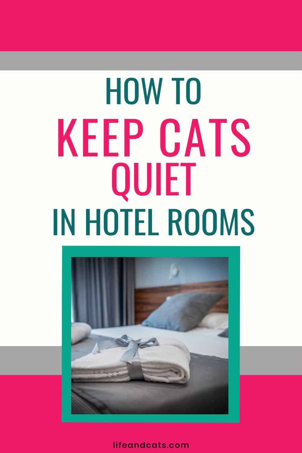 Image showcasing No Noisy Nights: Keep Your Cat From Meowing in a Hotel Room